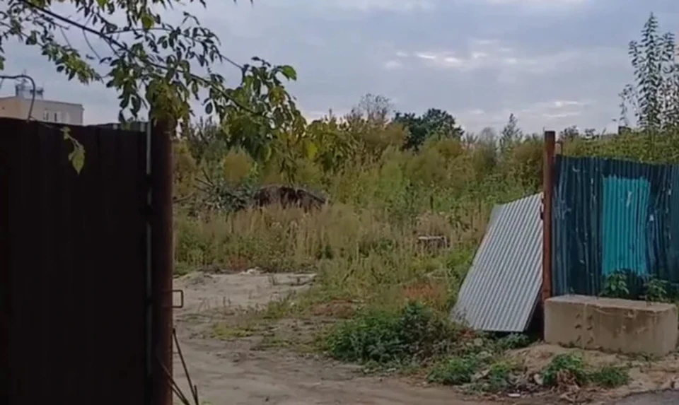 Пока там только заросшая земля.