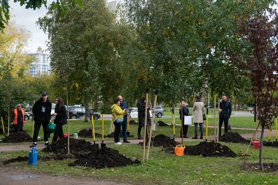 В Петербурге проведут осеннюю акцию по озеленению города вместе с местными жителями.