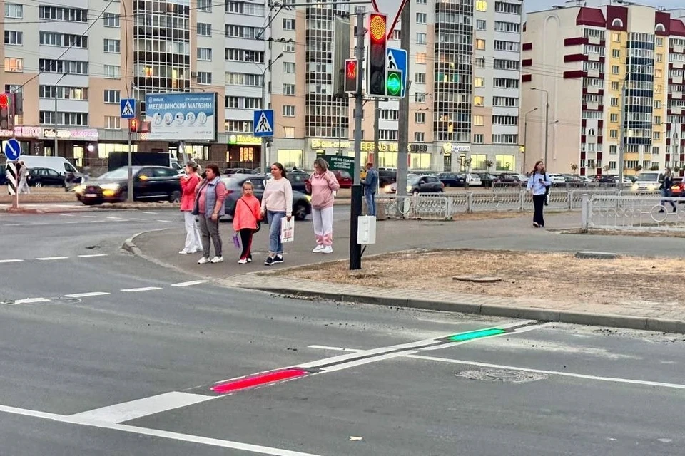 В Беларуси установили на дороге стоп-линию с разными цветами. Фото: УВД Гомельского облисполкома.