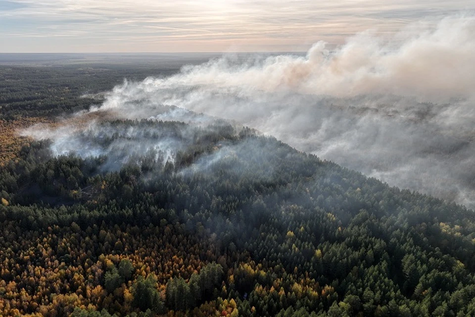 Пожарные продолжают бороться с огнем в Рачейском лесничестве / Фото: vk.com/minleshoz63