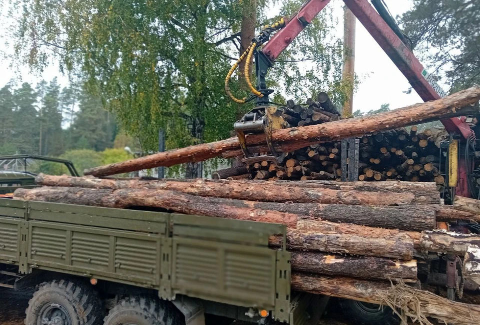 Тверская область направила в зону СВО очередную партию пиломатериалов.