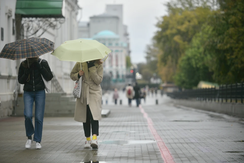 Дожди придут в Нижний Новгород на этой неделе.