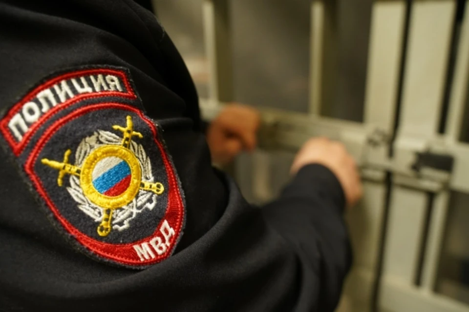 Скончалась женщина, которую до состояния комы избил житель Новосибирска