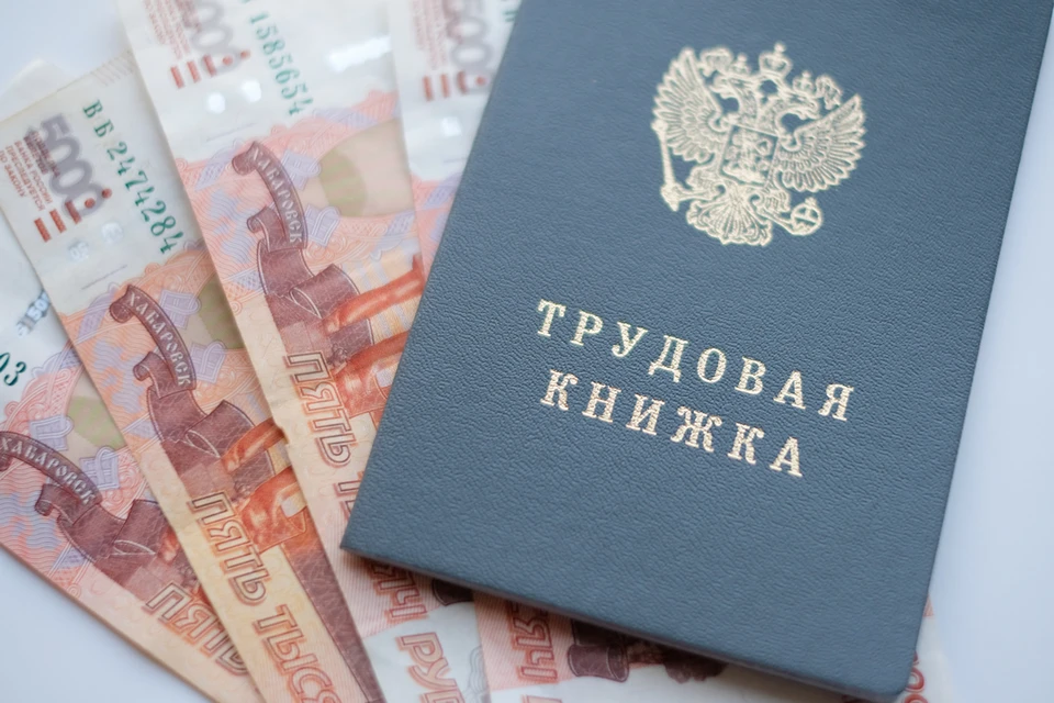 Петербуржцы стали чаще искать работу с приходом осени.
