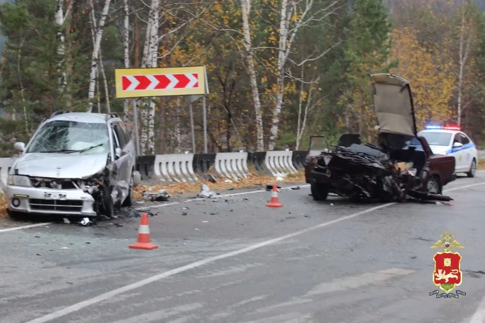 Фото: стоп-кадр видео МВД по Республике Хакасия