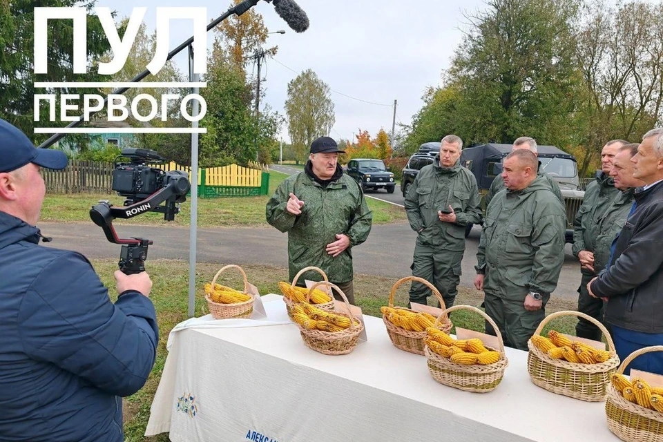 Лукашенко оценил белорусскую кукурузу, сказав про отставание от запада. Фото: телеграм-канал «Пул Первого»