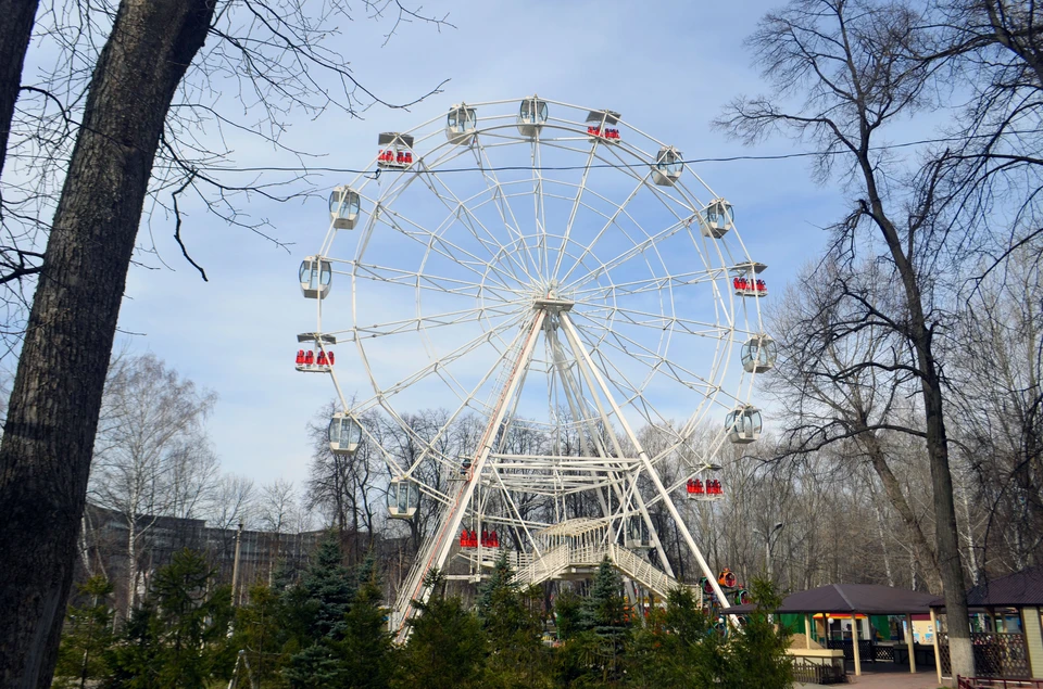 Фото автора