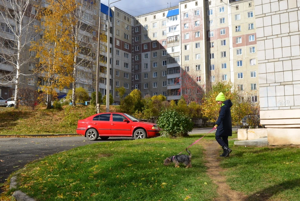 Снег ожидают только в понедельник