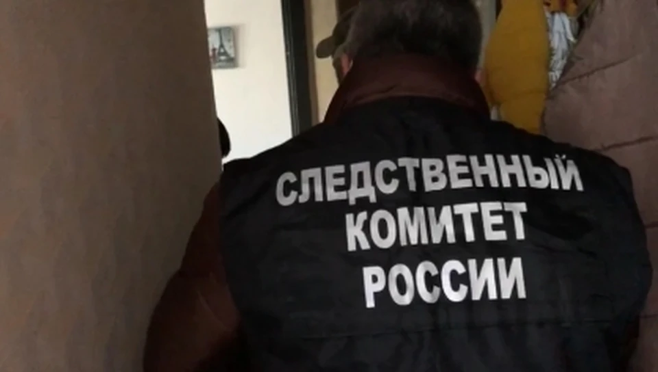 Фото: пресс-служба СУ СК России по Костромской области