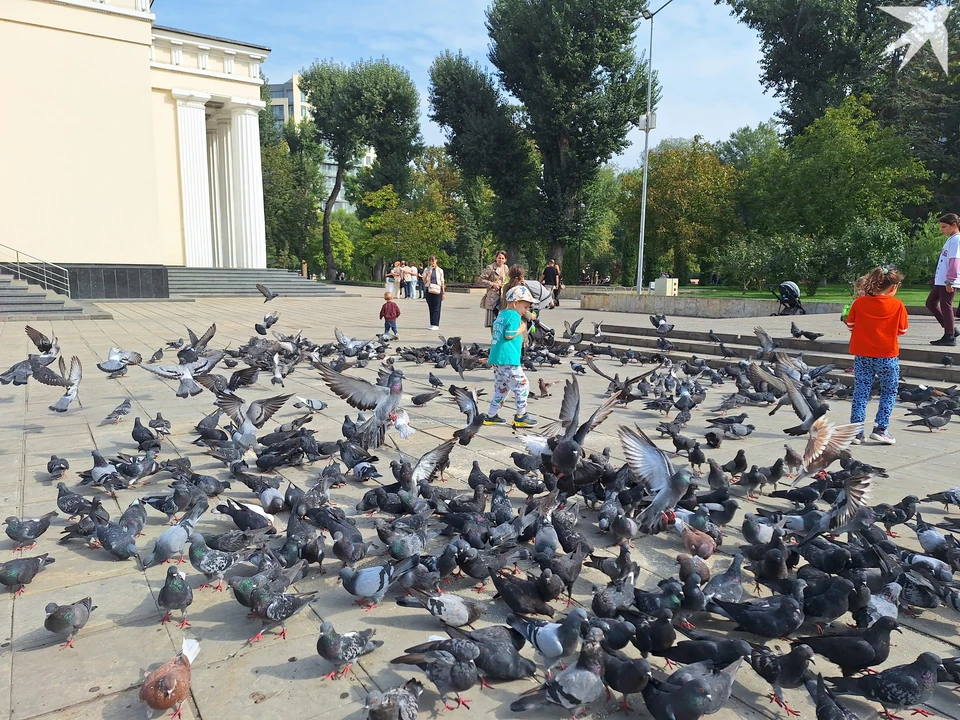 Скидываем теплую одежду - и в парк!