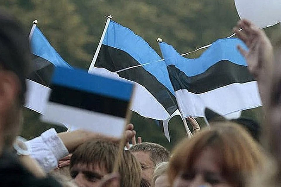 В Эстонии изучают возможность установки буев с лезвиями на границе с Россией