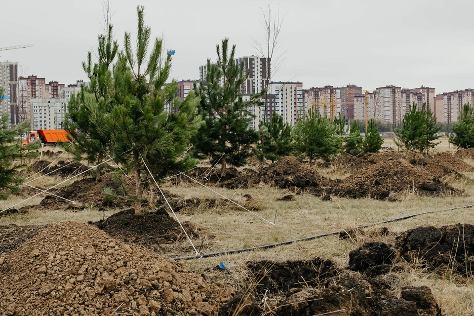 Фото: предоставлено пресс-службой ГК «ЮСИ»