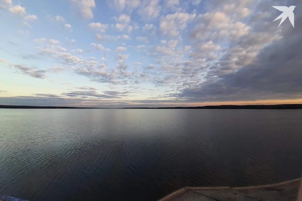 На Зельвенском водохранилище зарыбили сома. Фото: архив «КП».