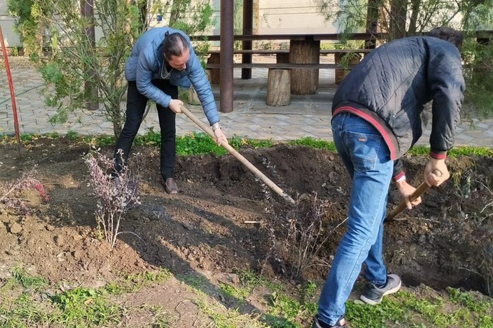 Субботник с посадками барбариса провели скадовские лесники. Фото: министерство природных ресурсов Херсонской области