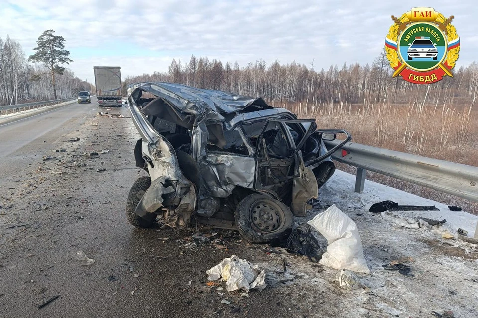 Фото: Госавтоинспекция Амурской области