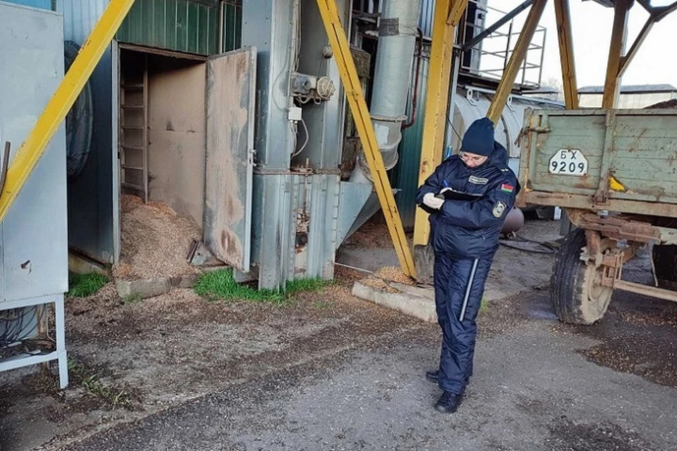 На зерносушильном комплексе в Городокском районе смертельно травмирован мужчина. Фото: СК.