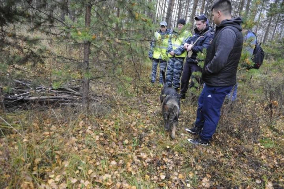 Студента искали волонтеры и оперативники