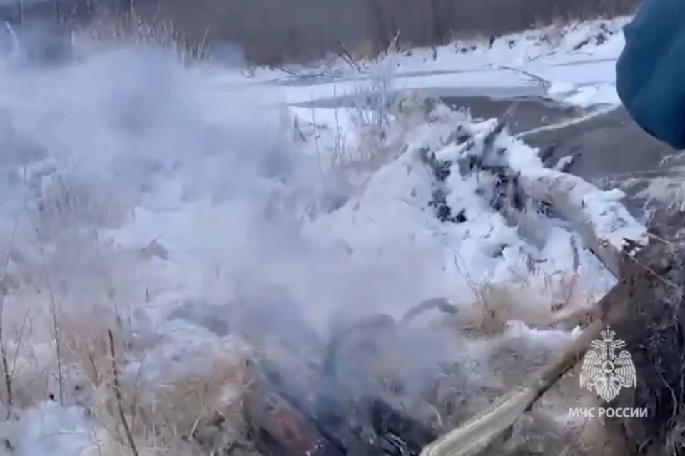 Очевидец незамедлительно позвонил в спецслужбу. Фото: скриншот видео mchskam41.