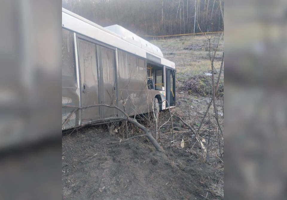 Два пассажира автобуса получили порезы от разбившегося стекла / Фото: t.me/deptrans63