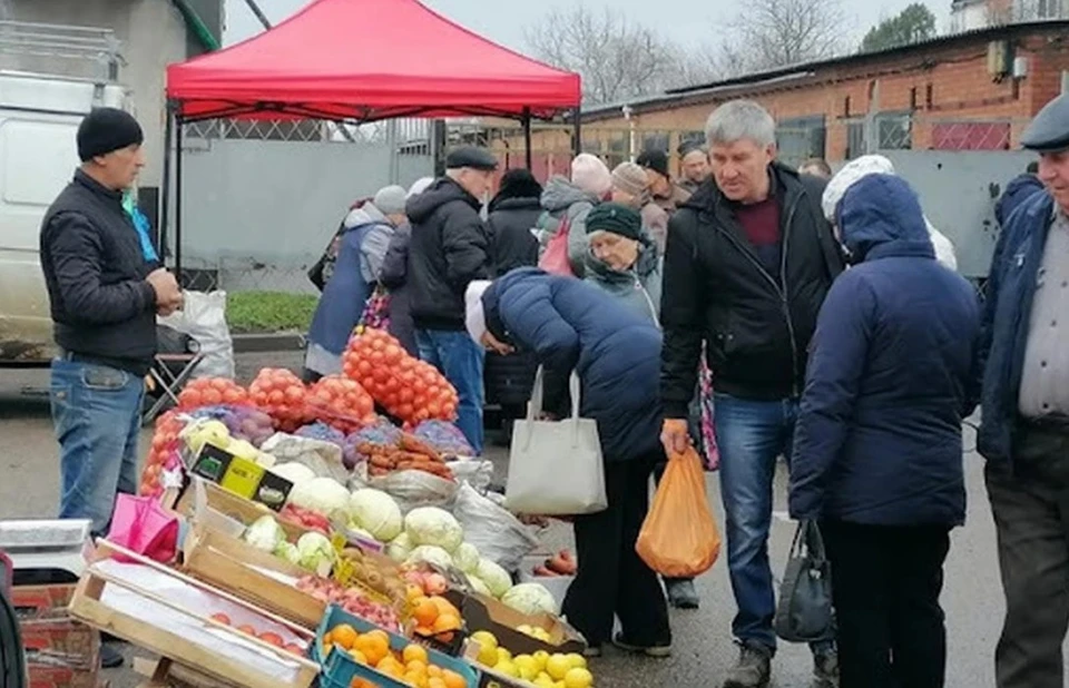 Сельскохозяйственные ярмарки давно уже стали традиционными в Кишиневе.