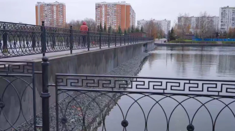 Фото: скриншот с видео тг-канала Городское хозяйство Москвы.