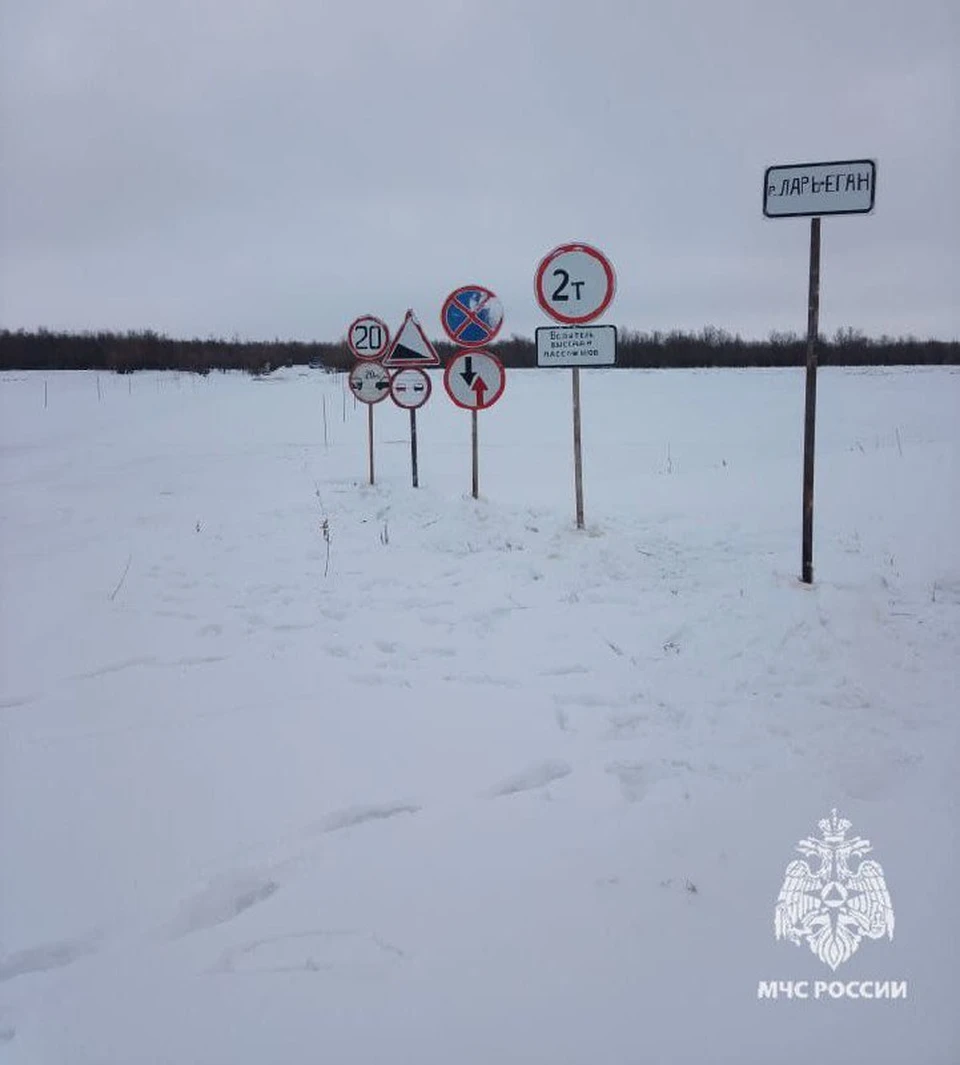 ПРедоставлено пресс-службой МЧС России по Томской области