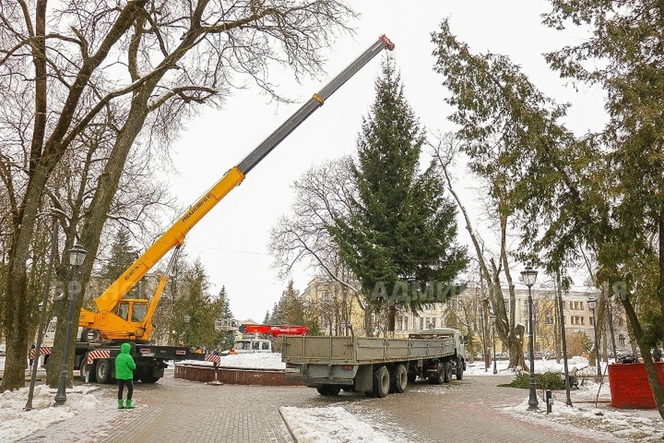 Фото: пресс-служба Брянской городской администрации.