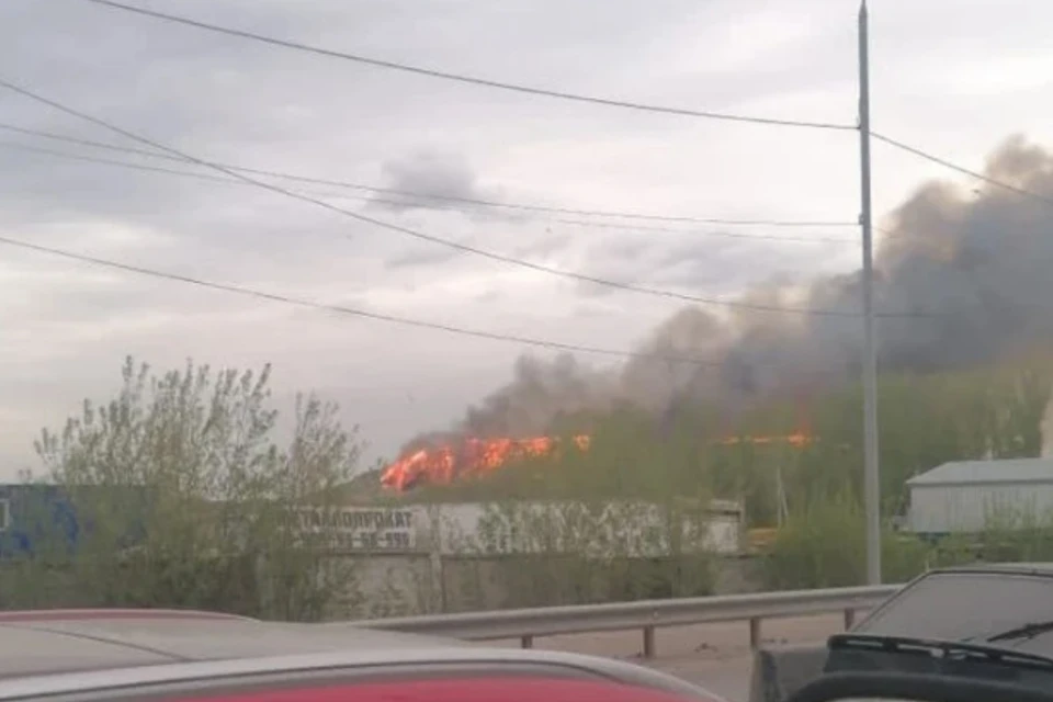 Пожарные ликвидировали возгорание 4 дня. Фото: Предоставлено Геннадием Пронских