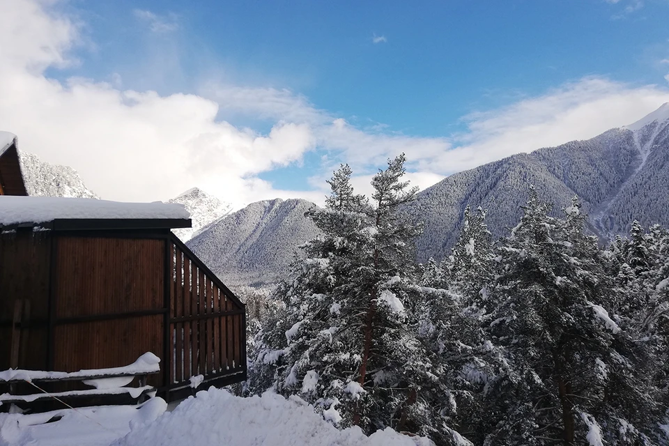 Фото: предоставлено пресс-службой билайн