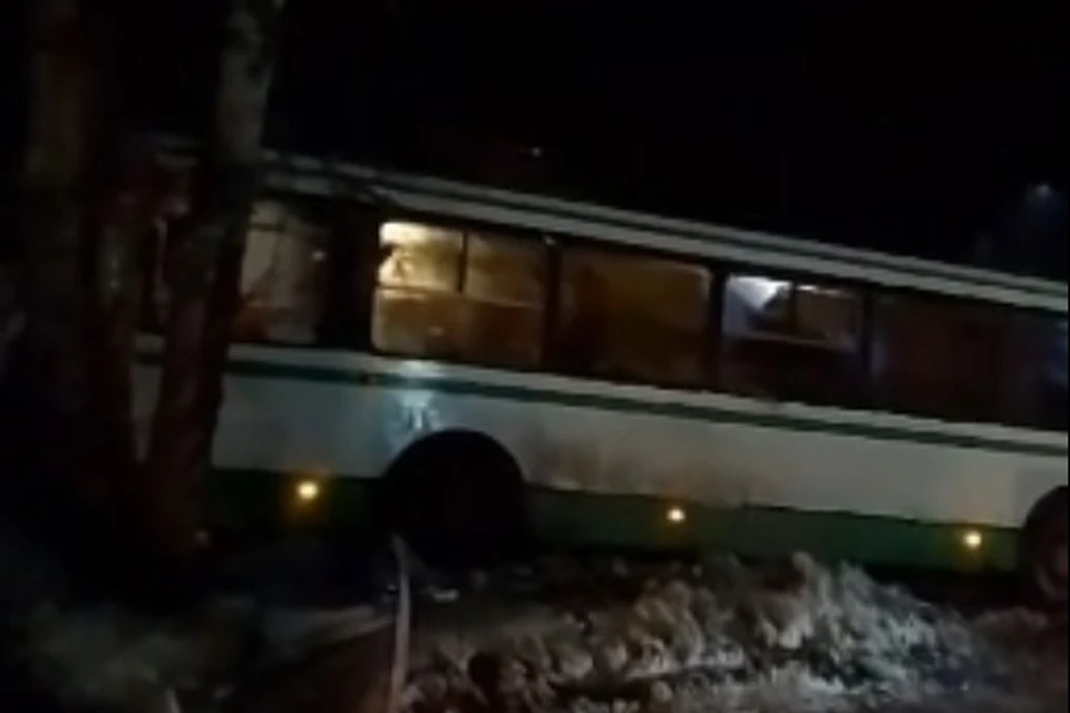 Автобус остановило только дерево. Фото: принтскрин видео