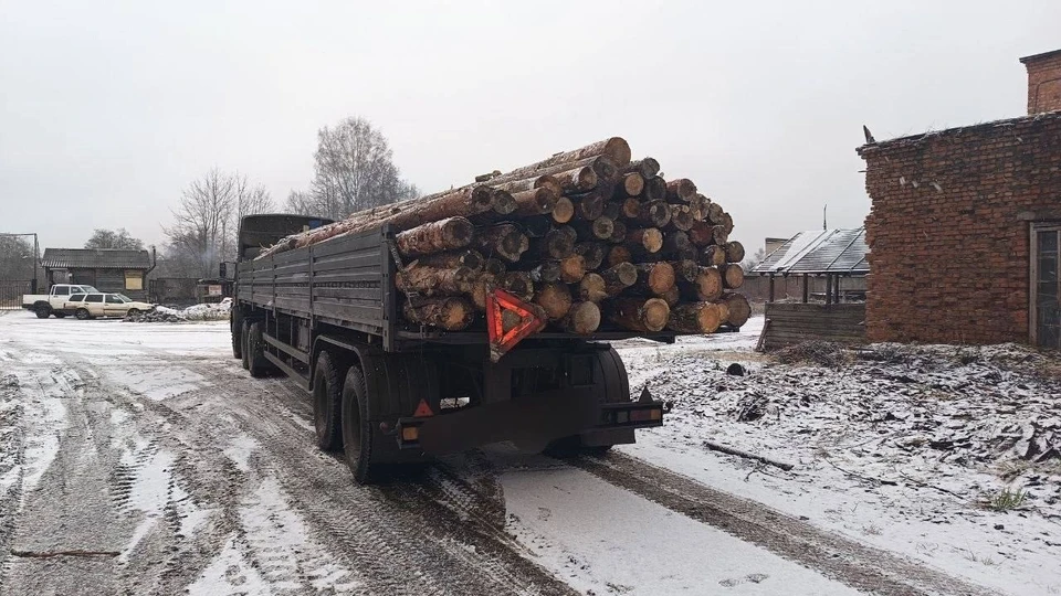 Фото: Ресурсный центр поддержки добровольчества Псковской области.