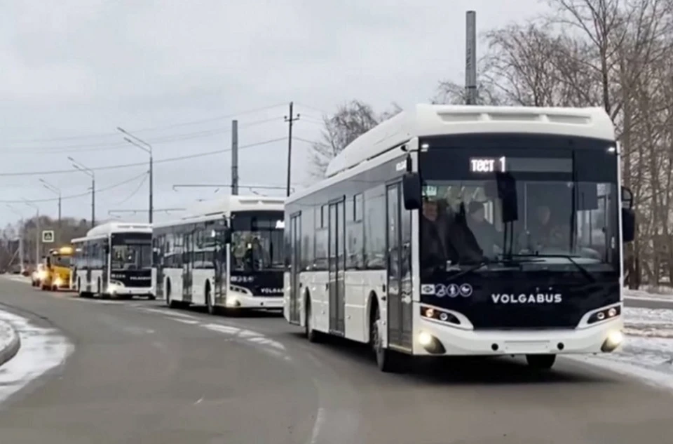 Новые автобусы доставили в Нижний Тагил. Фото: паблик главы города Владислава Пинаева