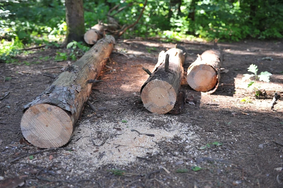 Убытки будут компенсированы