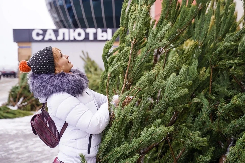 Самарцам рассказали, как обезопасить елку