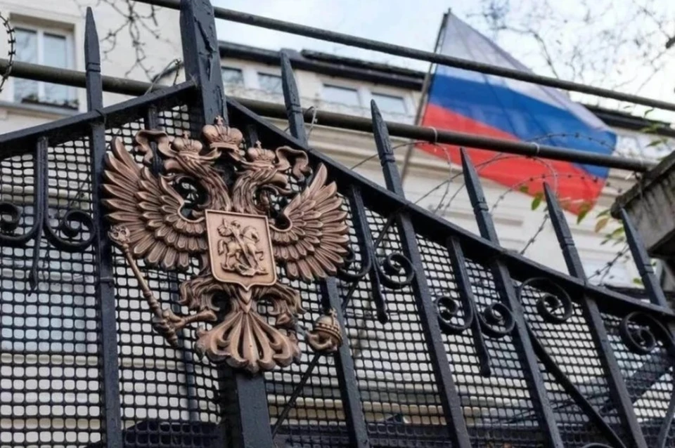Росфинмониторинг включил Петра Верзилова* в реестр террористов и экстремистов