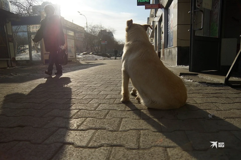 Фото Худых Девушек В Нижнем