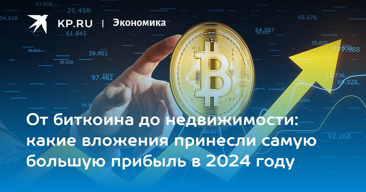 От биткоина до недвижимости: какие вложения принесли самую большую прибыль в 2024 году