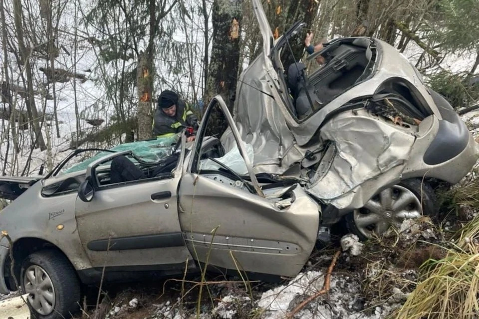 Водитель погиб и два пассажира пострадали в ДТП с белорусским авто в Ленинградской области. Фото: ГУ МВД России по Петербургу и Ленобласти