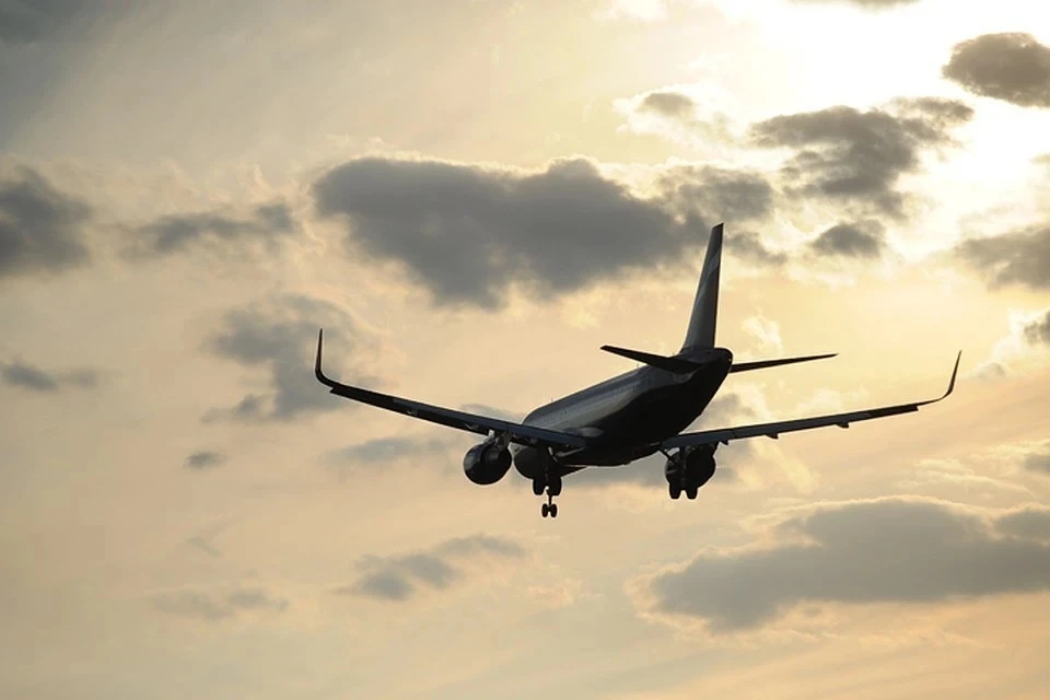 NYT: Пассажиры Turkish Airlines жалуются на клопов на борту самолётов