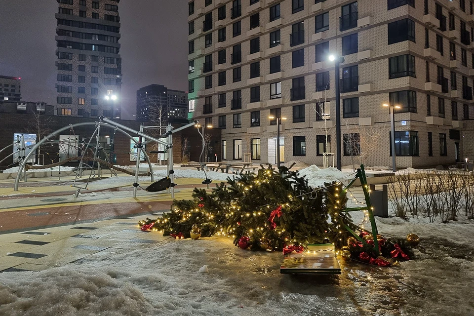 В одном из столичных жилых комплексов уже дважды упала новогодняя елка.