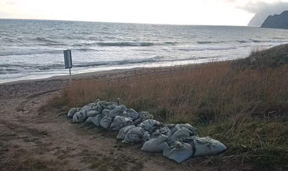 За сутки в Крыму обнаружили мазут на восьми новых участках. Фото: Ольга Шевцова/Tg