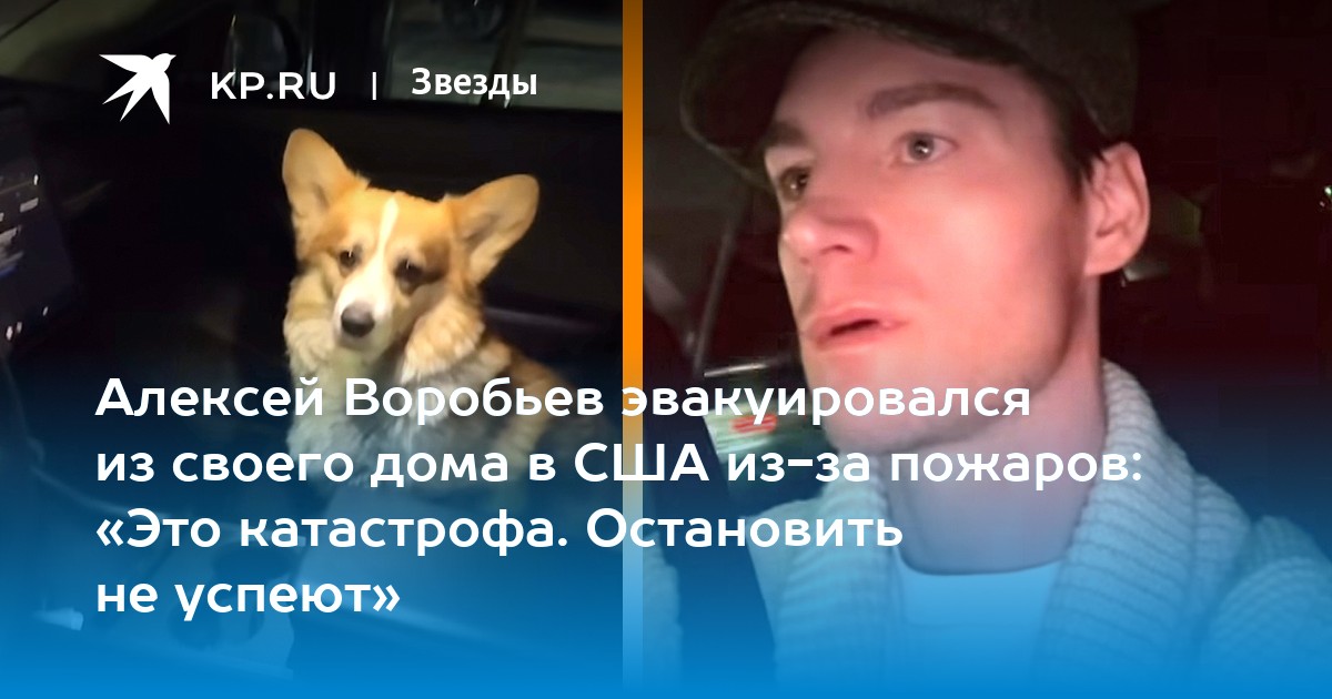Алексей Воробьев эвакуировался из своего дома в США из-за пожаров: «Это катастрофа. Остановить не успеют»