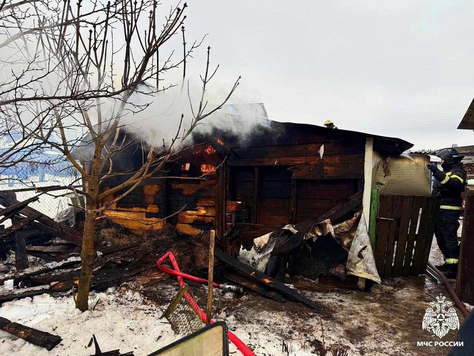 Фото: ГУ МЧС России по Смоленской области.