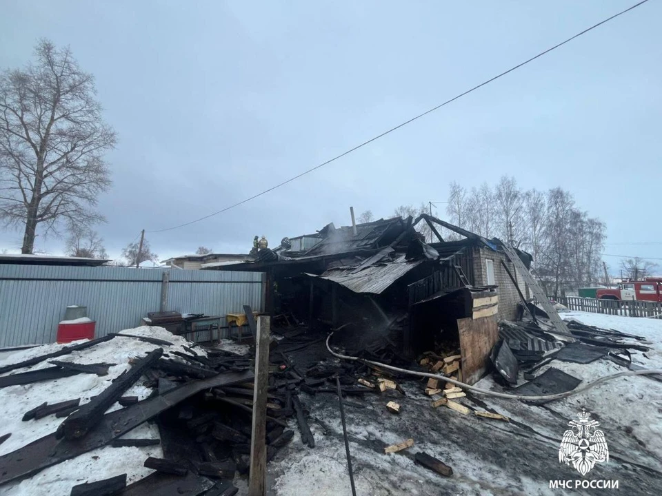 В пожаре в селе Крутояр в Ульяновской области никто не пострадал. Фото МЧС России по Ульяновской области