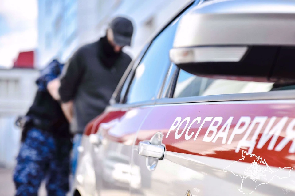 Задержанный может попасть под следствие. Фото: 82.rosguard.gov.ru