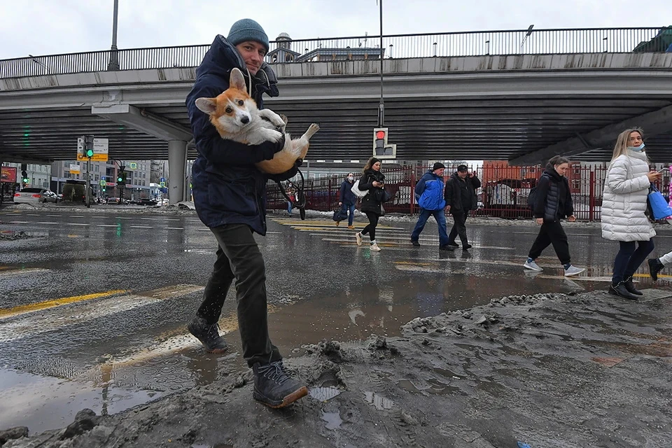 Москву ждет рекордно теплый финал января