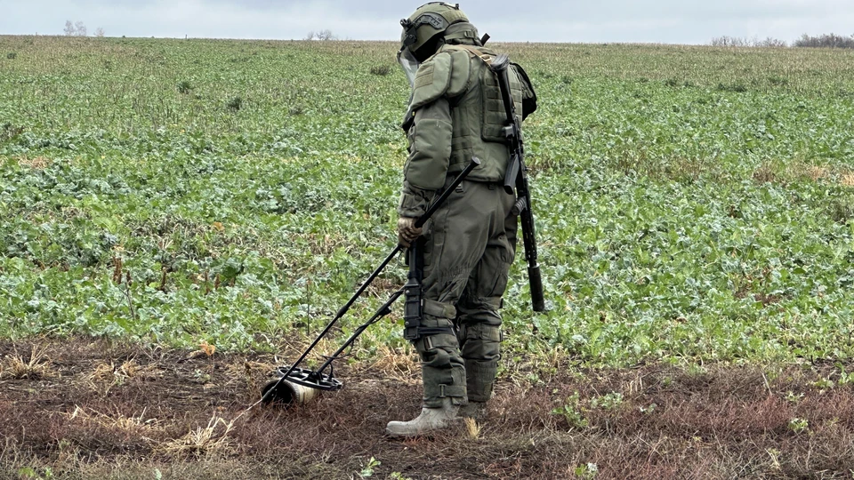 Российские саперы рассказали об удивительной находке под Угледаром