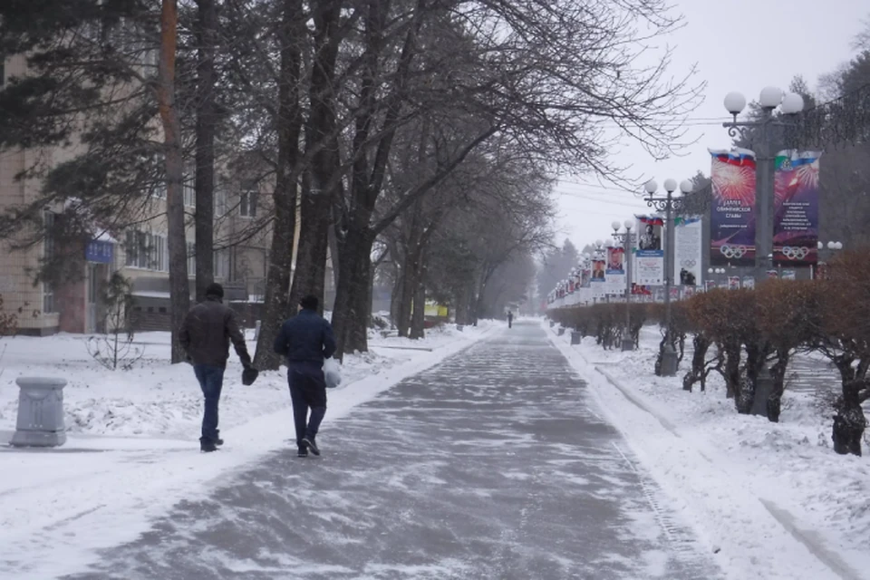 Январь в Хабаровском крае завершится снегопадами и порывистым ветром