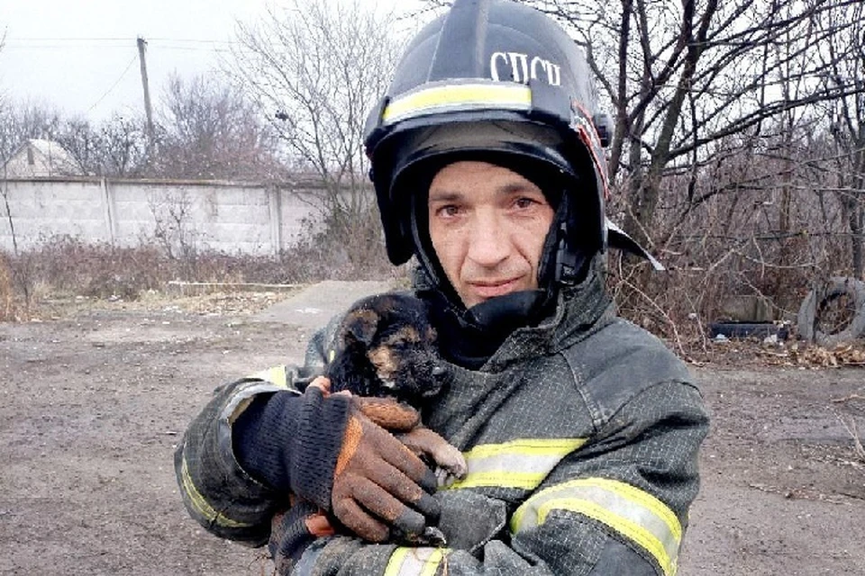 В Мелитополе спасатели достали провалившегося в яму щенка. ФОТО: ГУ МЧС России по ЗО