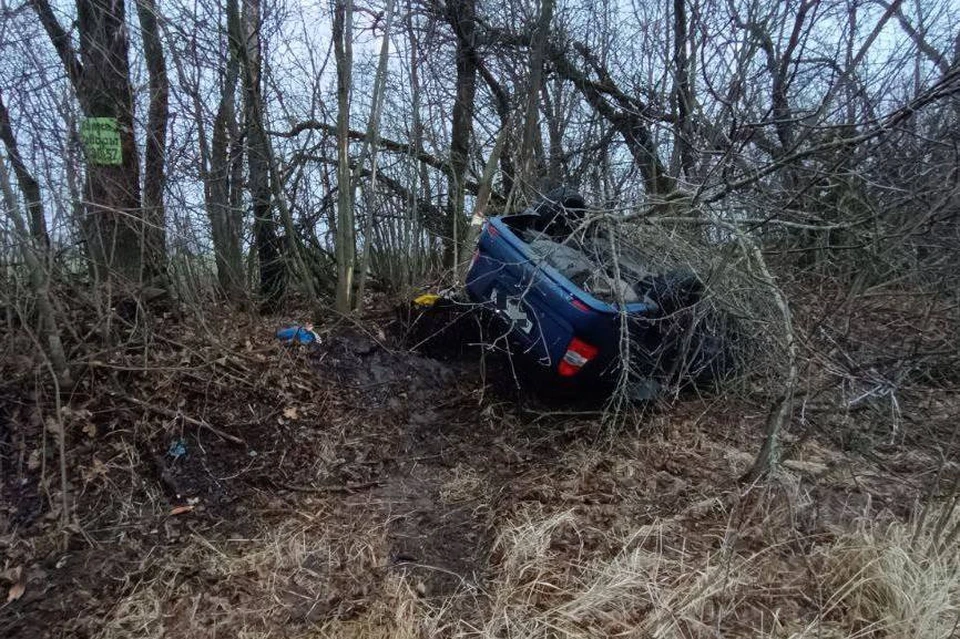 На М-5 под Рязанью легковушка врезалась в дерево, водитель погиб. Фото: https://t.me/gibdd062